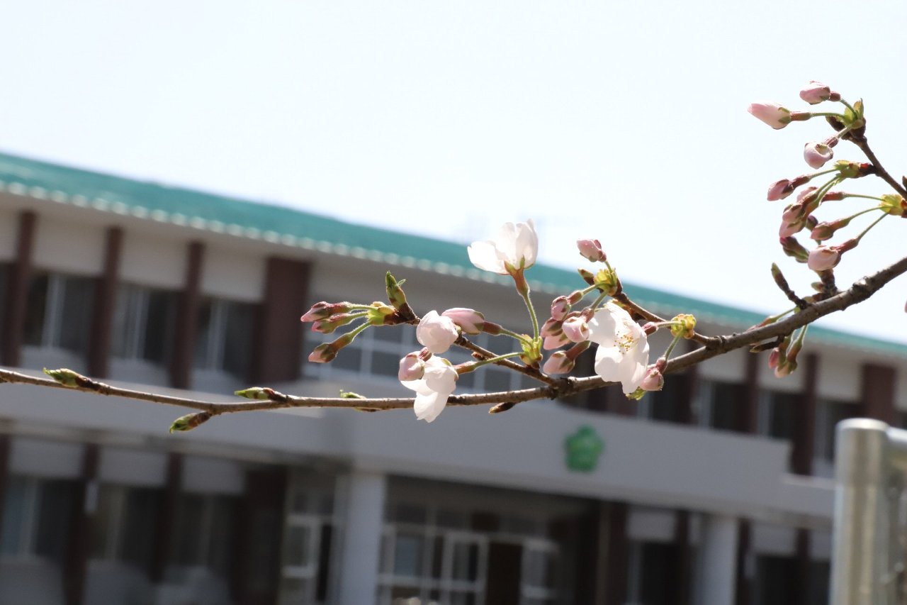 $B:T>.%H%T%C%/<L??(B