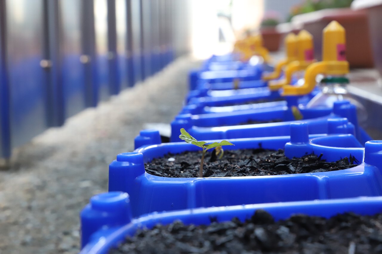 $B:T>.%H%T%C%/<L??(B