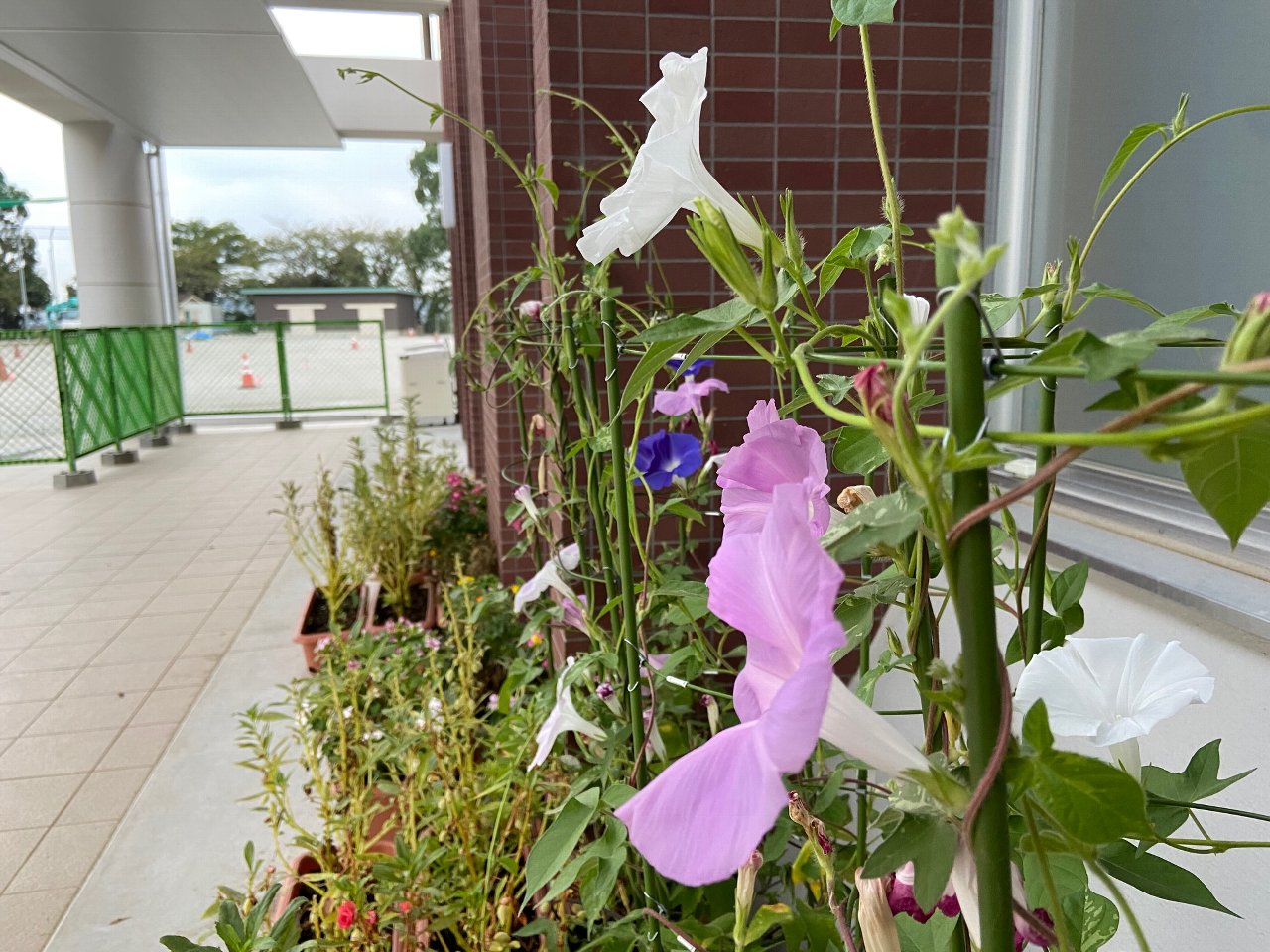 $B:T>.%H%T%C%/<L??(B