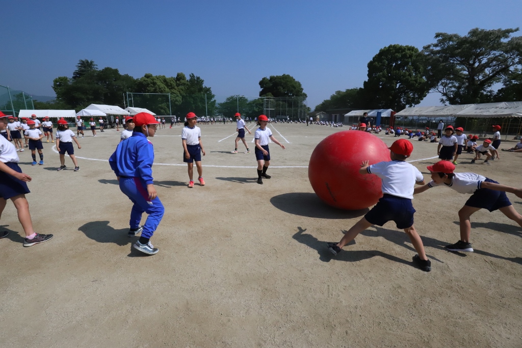 犀小トピック写真